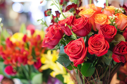 Vibrant Bouquet of Red and Orange Ro, a Photo by Tanuart