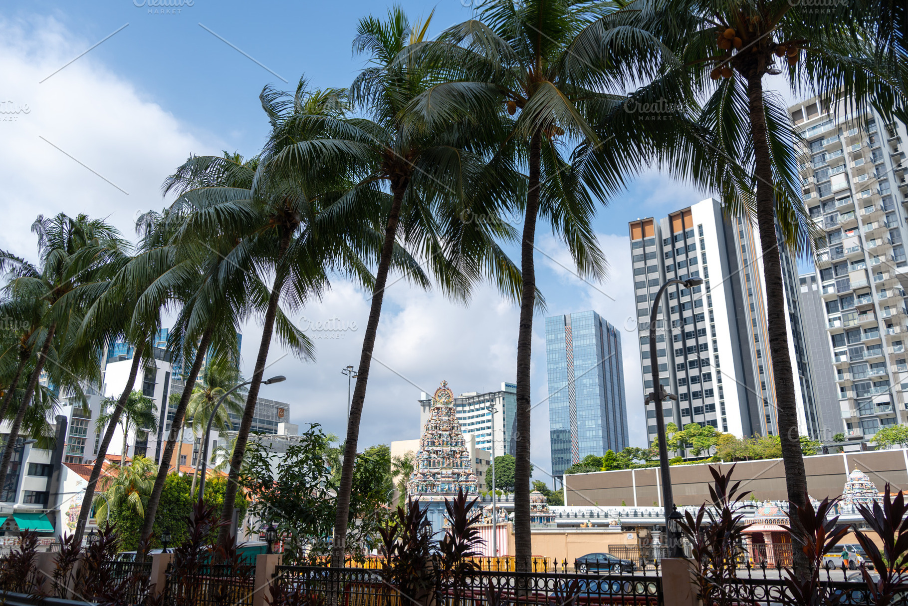Sri Srinivasa Perumal Temple surrounded by buildings and palm tr, an Architecture Photo by GoodGoods