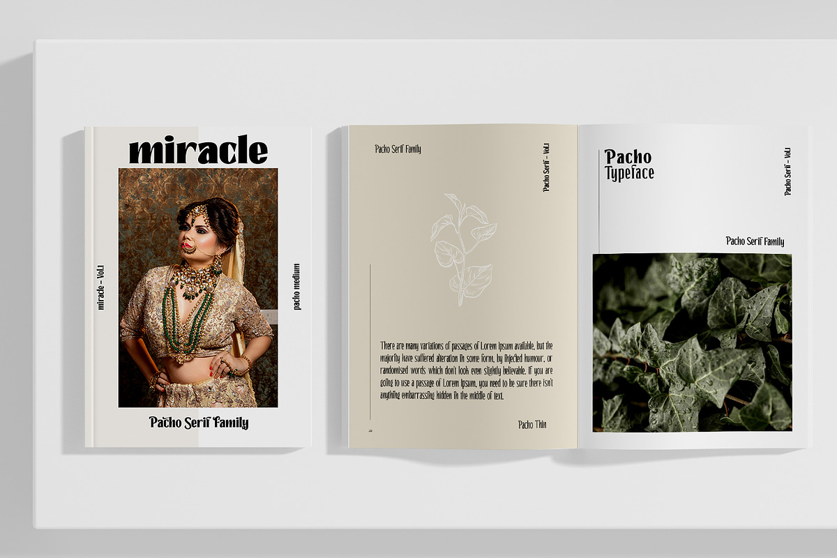 Pacho - Serif Family, a Serif Font by madeDeduk (Photo 6 of 15)