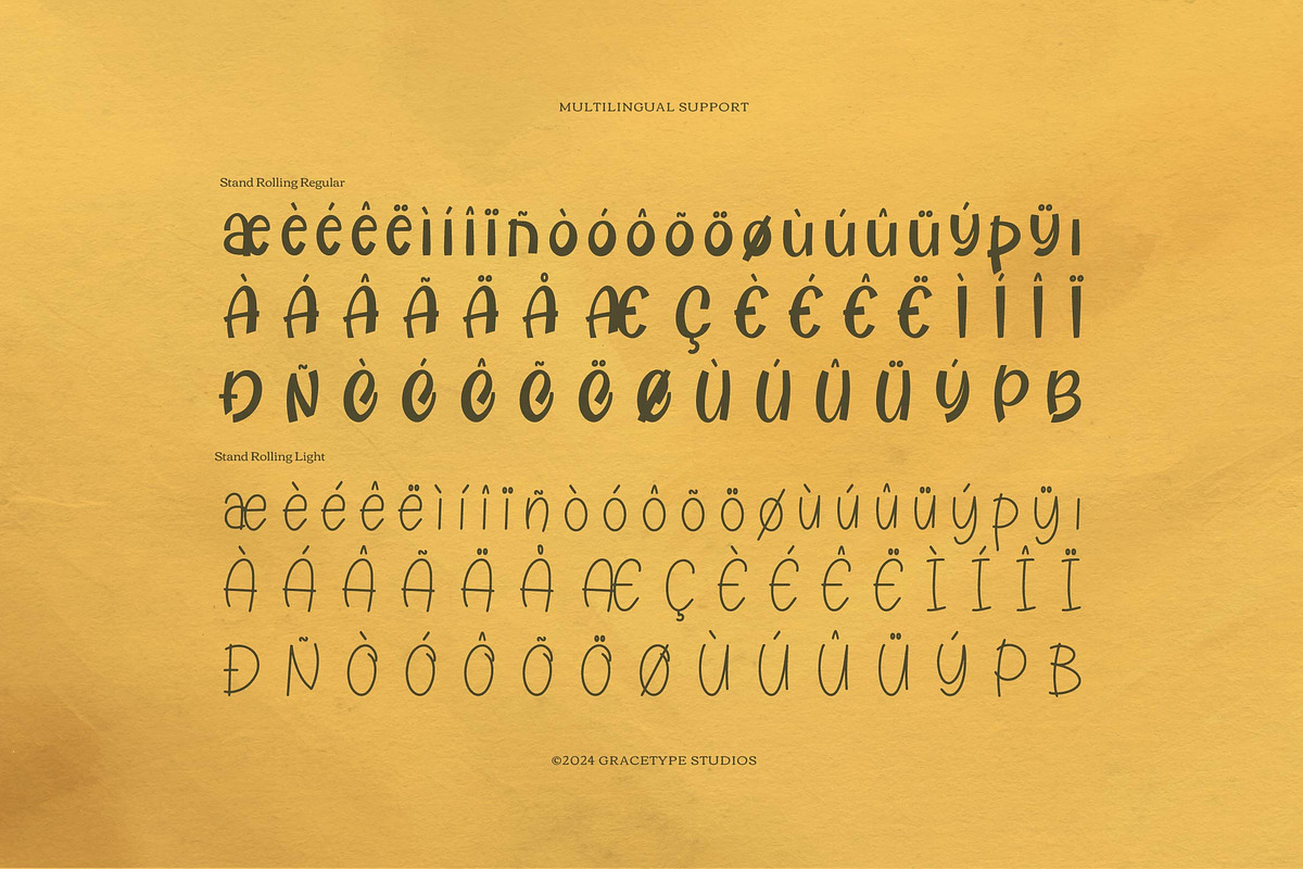 Stand Rolling Hand Drawn Light Style, a Handwritten Font by gracetype_studio (Photo 11 of 12)