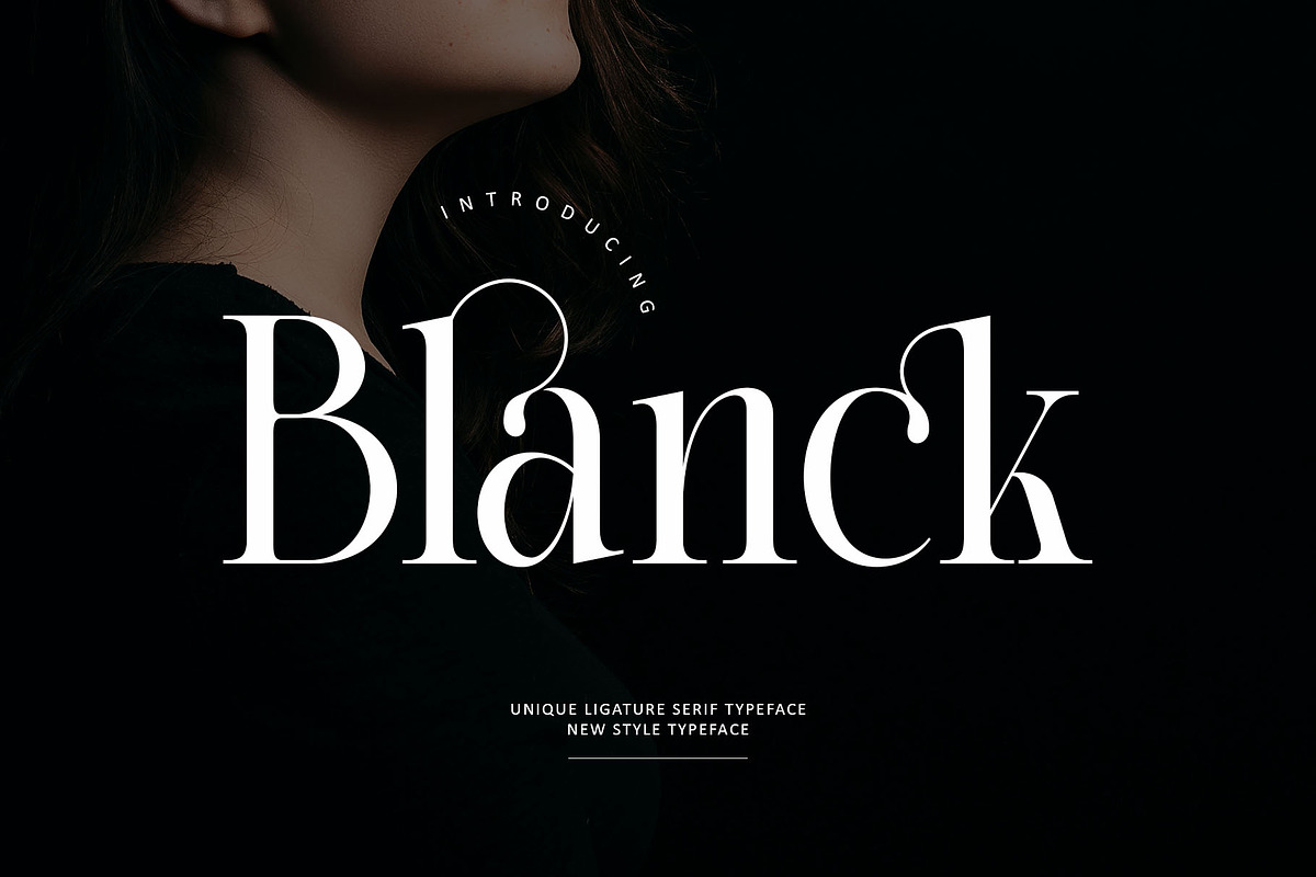 Blanck Modern Ligature Serif, a Serif Font by Alfinart (Photo 1 of 8)
