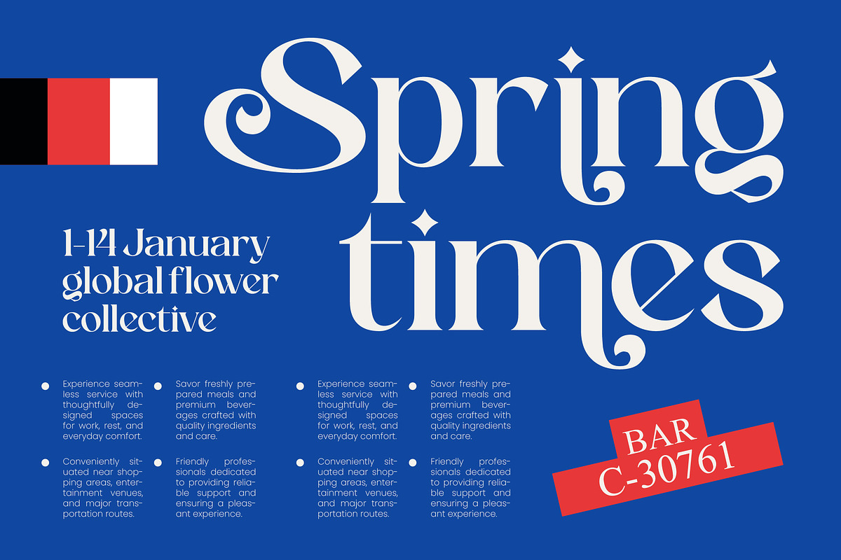 Barkie Hustle Modern Alternate, a Serif Font by timelesstype.co (Photo 6 of 10)