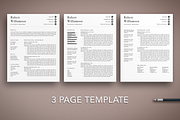 Professional Resume Template, a Resume Template by The Creative Resume (Thumbnail 3 of 8)