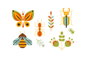 Collection Of Insects And Plants