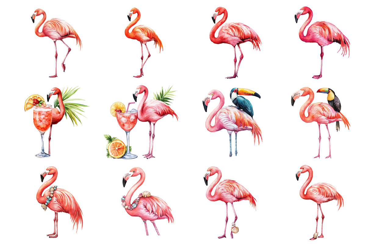Tropical Flamingo Clipart, an Illustration by Design Market (Photo 3 of 4)
