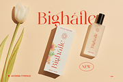 Elegant Ligature Serif Font, a Serif Font by Bekeen.co (Thumbnail 3 of 10)