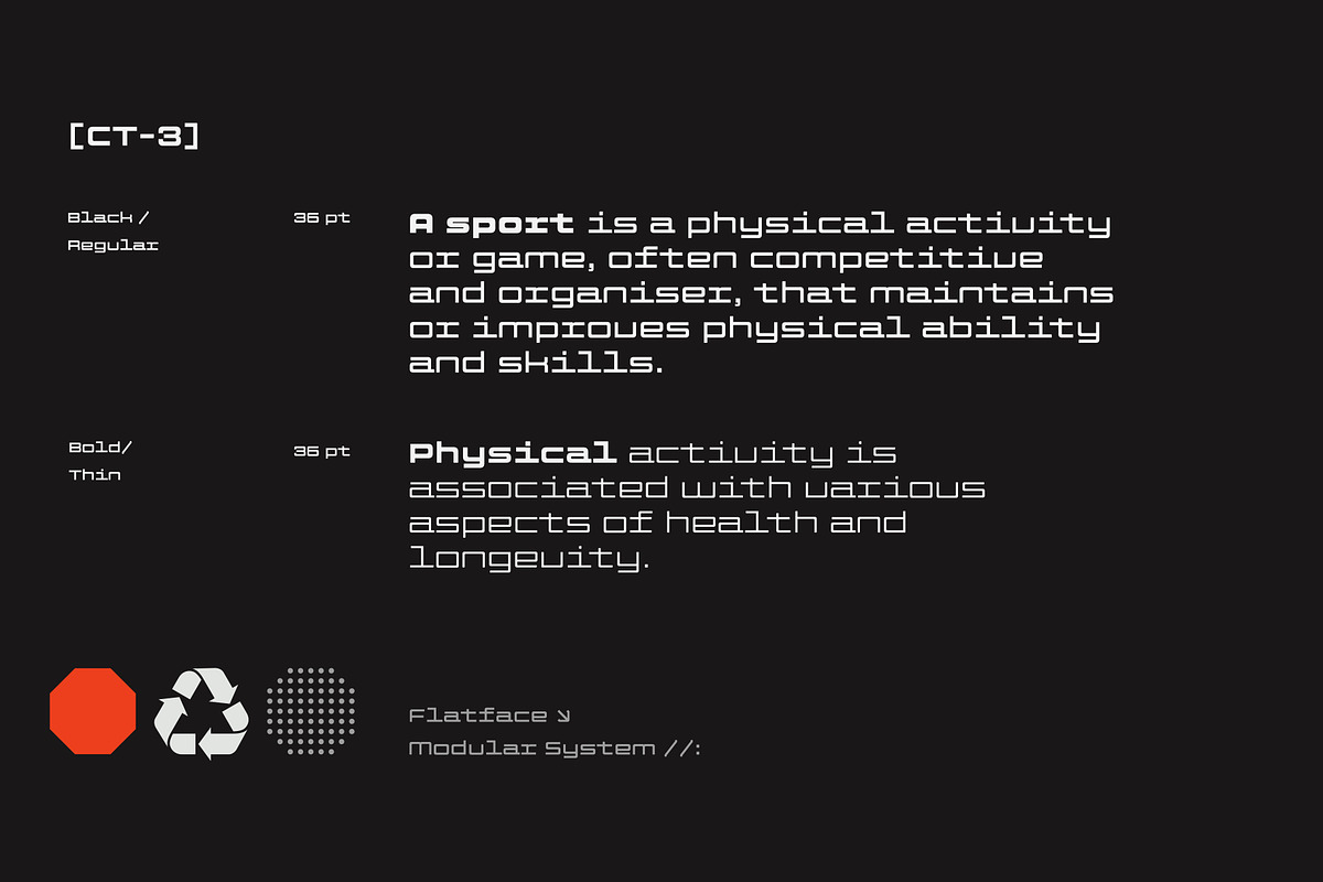 Flatface CTR-3, a Sans Serif Font by Flatface (Photo 8 of 13)