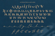 Volavira Font Collection - Font Trio, a Serif Font by Nollev (Thumbnail 11 of 14)