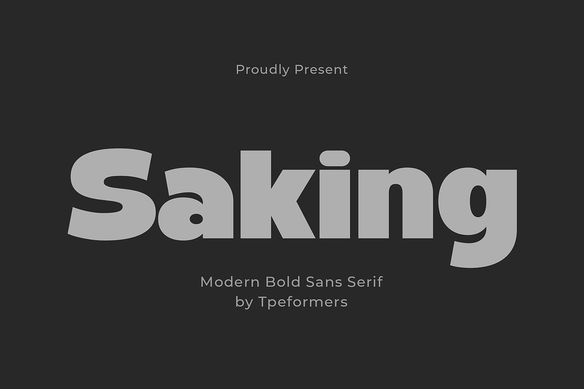 Saking - A Bold Sans Serif, a Sans Serif Font by Typeformers (Photo 1 of 5)