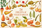 80 Vintage Nature Illustrations, an Object Graphic by The Object Atlas (Thumbnail 6 of 11)