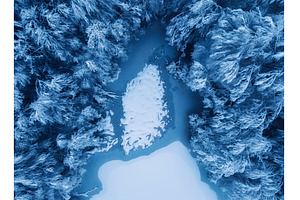 Aerial view of snowy forest and, a Nature Photo by den-belitsky
