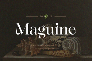 SS Maguine - Neo Transitional Serif