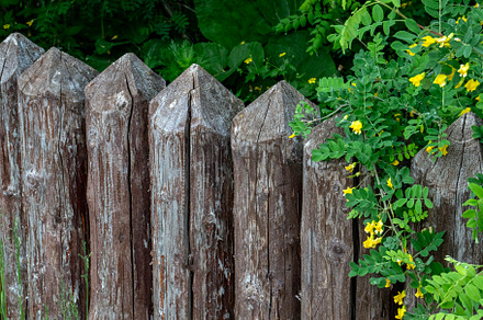 View of the old and strong fence, a Background Photo by Schreibikus