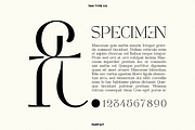 TAN - PARFAIT, a Serif Font by TanType (Thumbnail 7 of 21)