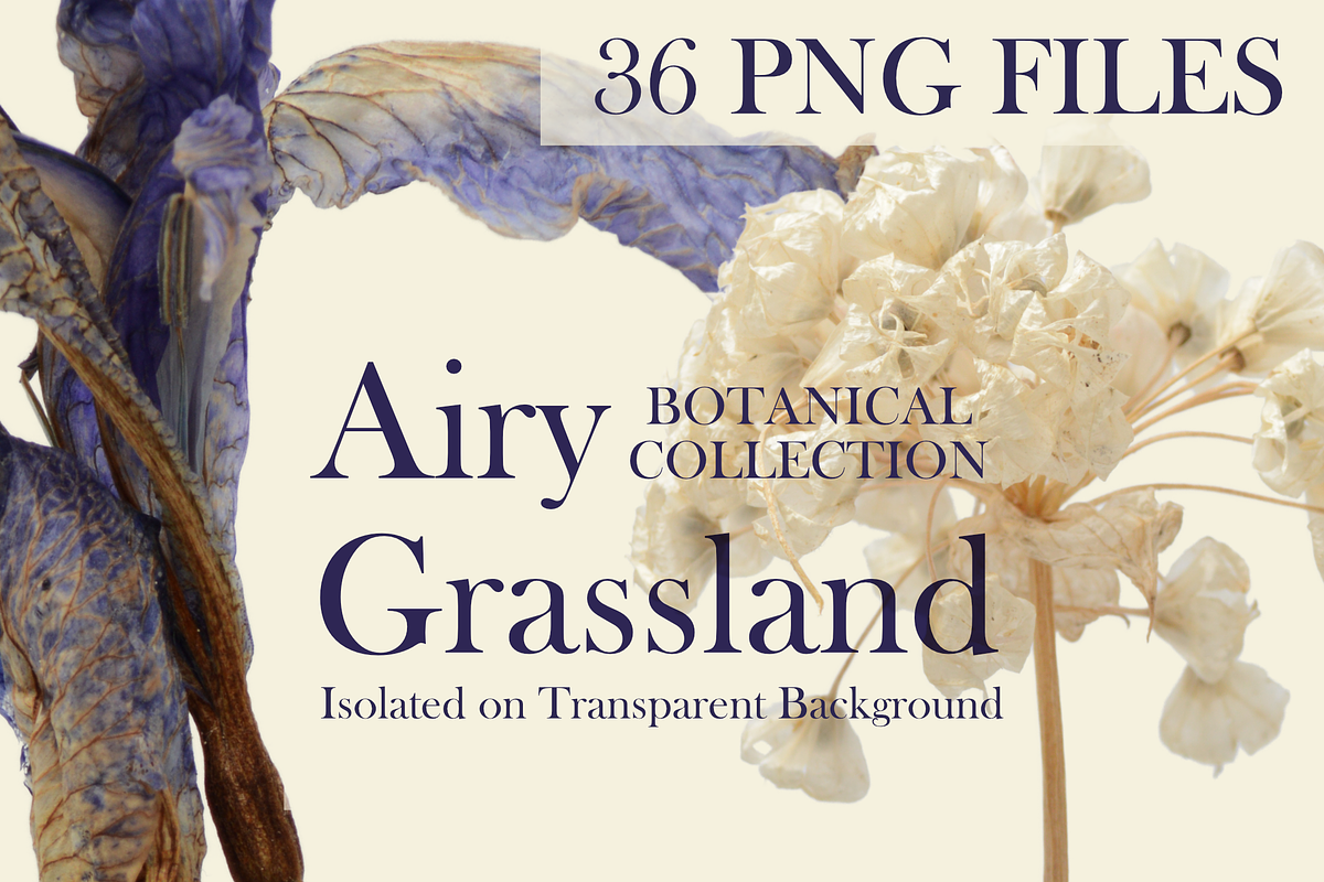 Botanical PNG Elements – 36 Meadow P, an Object Graphic by Aga Silva (Photo 6 of 28)