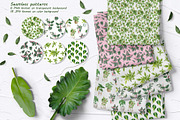 Philodendron Plans Watercolor Set, a Decorative Illustration by BarvArt (Thumbnail 5 of 7)