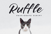 Ruffle - Casual Brush Font, a Script Font by Konstantine Studio (Thumbnail 1 of 10)