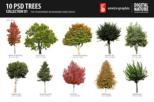 10 PSD Trees Collection 1