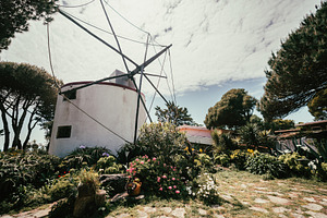 Windmill in lush garden landscape, an Architecture Photo by SkyNext