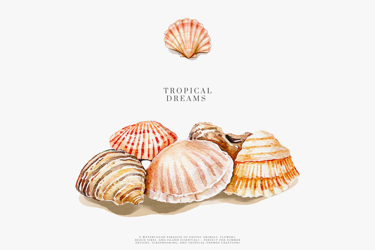 Watercolor tropical clipart set, a Decorative Illustration by Patishop Art (Photo 4 of 10)