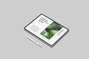 Landscape Tablet Screen Mockup, an iPad Mockup by Graphiculon (Thumbnail 8 of 11)
