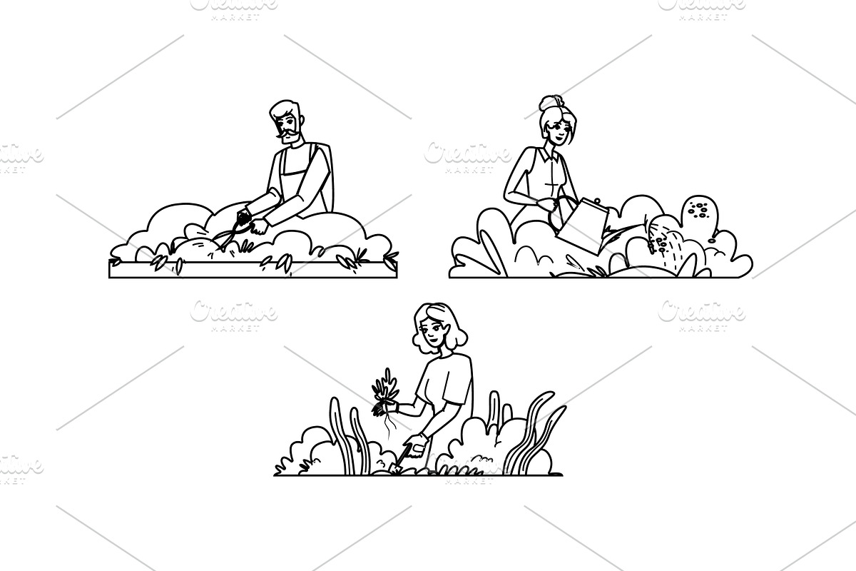 urban rooftop gardening vector, a Person Illustration by pikepicture