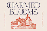 Megria Elegant Thin Serif Display, a Serif Font by timelesstype.co (Thumbnail 8 of 20)