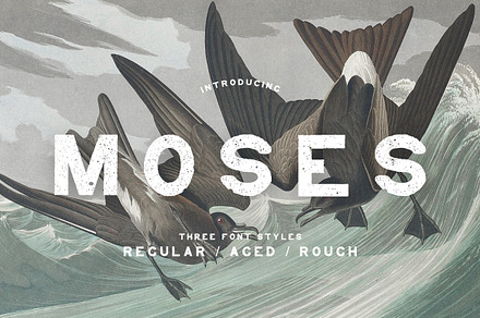 Moses - Display Grotesque Typeface, a Slab Serif Font by Nomad Visuals