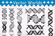 DNA Svg, Biology, Nerd Svg, an Object Graphic by VectorWorlds (Thumbnail 2 of 3)