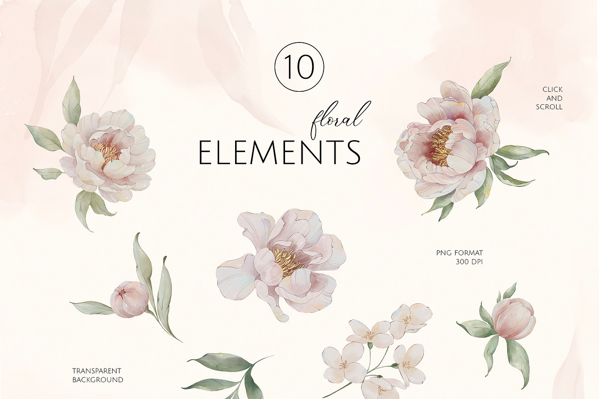 ROMANTIC PEONIES watercolor set, a Decorative Illustration by Yuliia Lashevska (Photo 11 of 14)