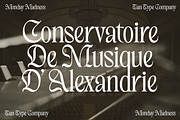 TAN - MONDAY MADNESS, a Blackletter Font by TanType (Thumbnail 3 of 13)