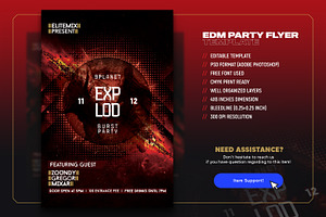 Night Club Flyer EDM Party