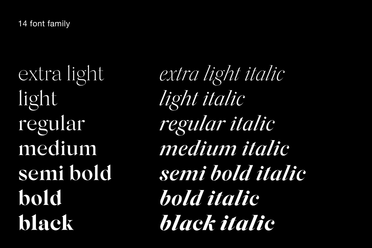 Silk Serif - 14 font family, a Serif Font by Silktype (Photo 3 of 17)