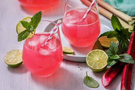 Refreshing rhubarb drink with lime featuring rhubarb, mint, and lemonade