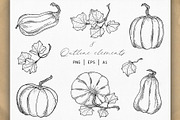Autumn Pumpkins Hand Drawn Graphics, a Food Illustration by Olya Haifisch (Thumbnail 3 of 9)