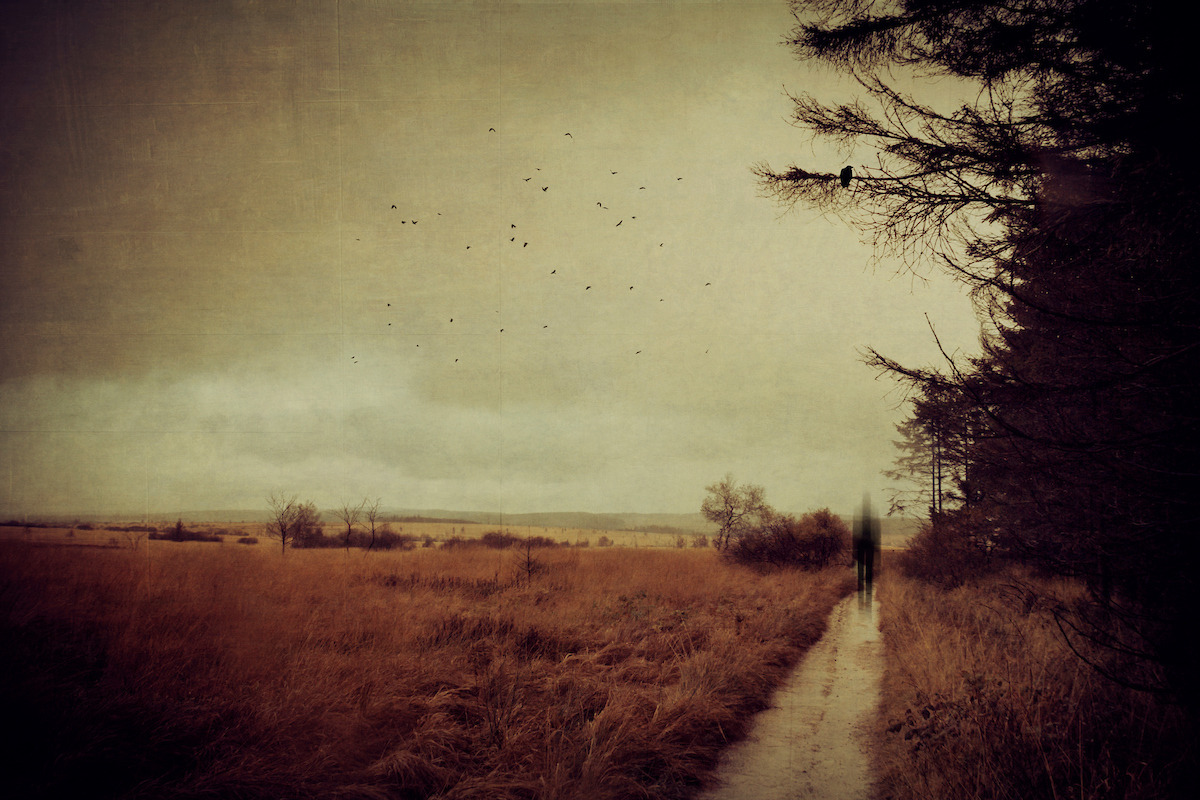 Autumn Haze Fine Art Grunge Textures preview 3