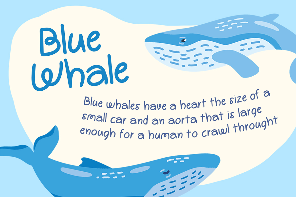 Dyolanan - Handwritten Playful Font, a Handwritten Font by Pekotype (Photo 8 of 11)