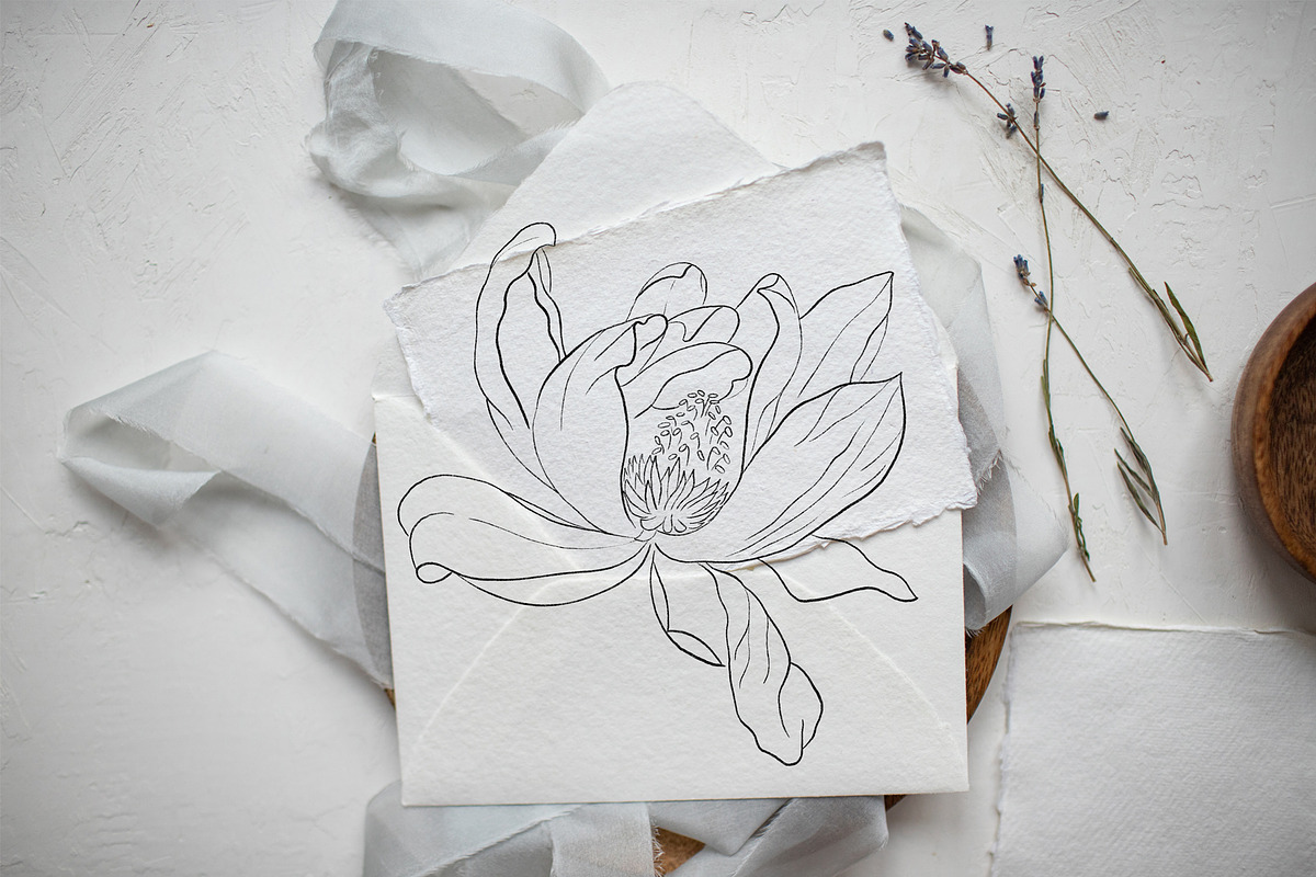 Flowers Line Arts Clipart, an Illustration by natalisart (Photo 6 of 11)