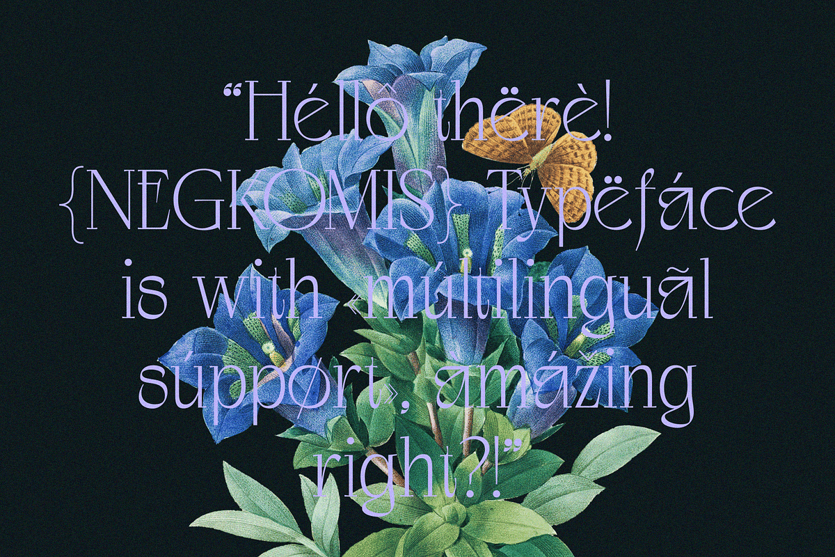 Negkomis — Elegant Ligature Serif, a Serif Font by Enxyclo Studio (Photo 25 of 26)