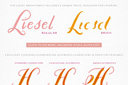 Liesel Brush Family, a Handwritten Font by Magpie Paper Works (Thumbnail 2 of 11)