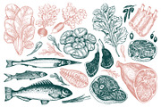 Paleo Diet Vector Collection, a Food Illustration by Lubov Illustrations Shop (Thumbnail 3 of 7)