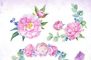 Watercolor Peonies