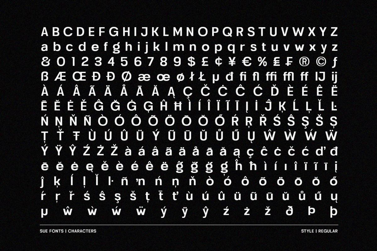 Sue - Variable & Family Sans Serif, a Sans Serif Font by Typeskets (Photo 7 of 13)