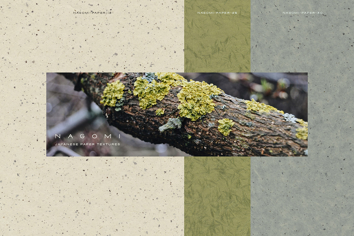 Nagomi - Japanese Paper Textures, a Texture Graphic by alonahaidash (Photo 8 of 26)