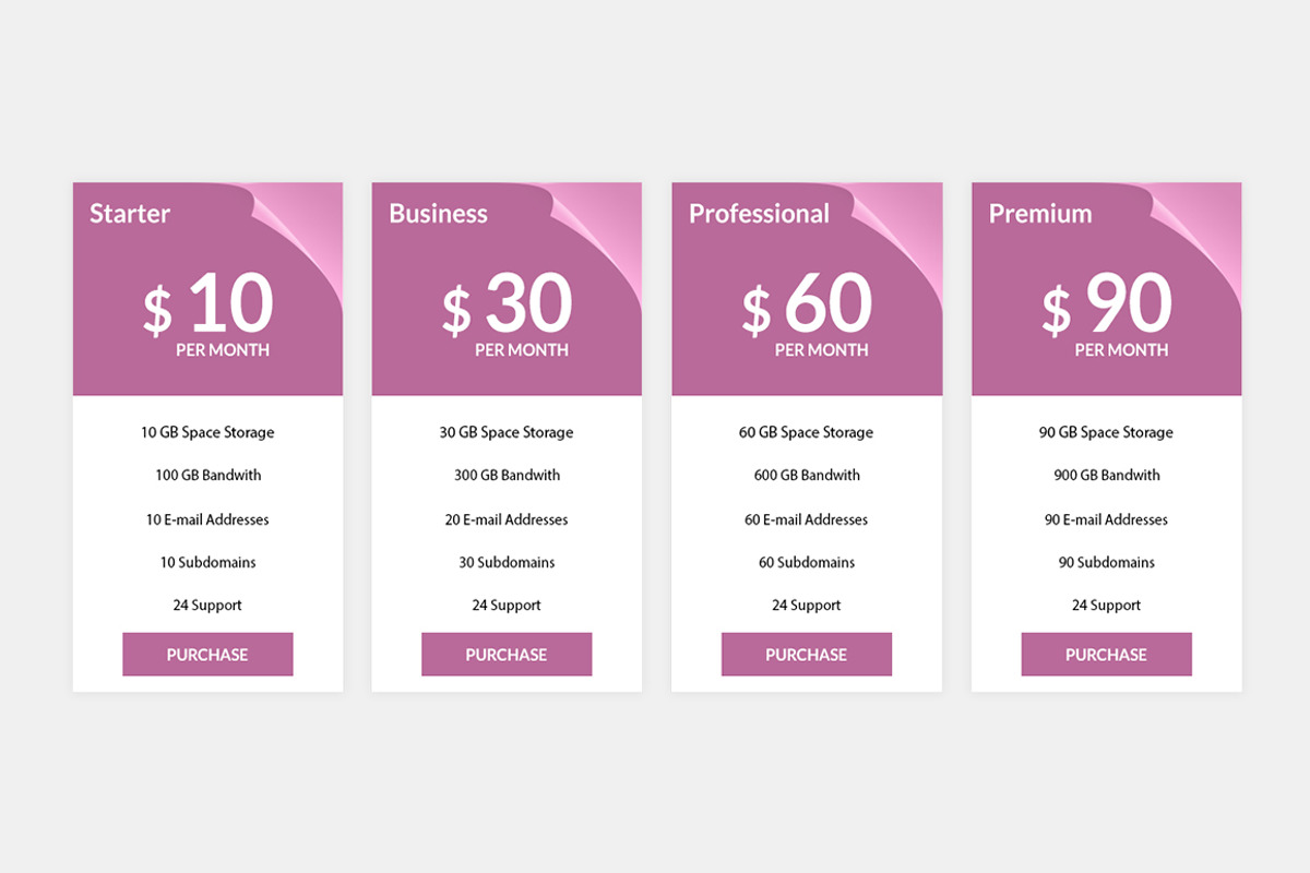 Pricing Table, a Templates & Theme by Youme Techworld (Photo 6 of 8)