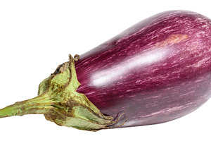 Fresh striped eggplant, isolated background., a Food & Drink Photo by ndanko