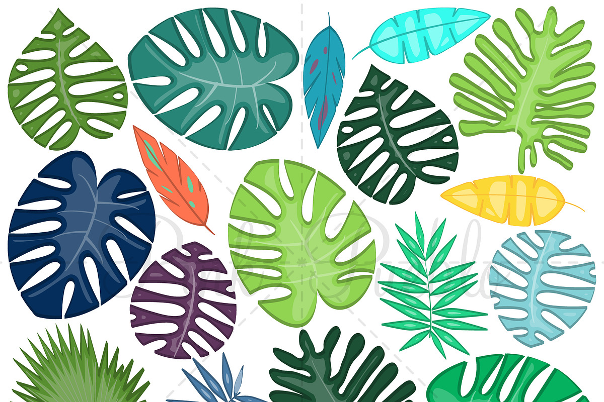 Tropical Leaves Clipart and Vectors, an Illustration by PinkPueblo