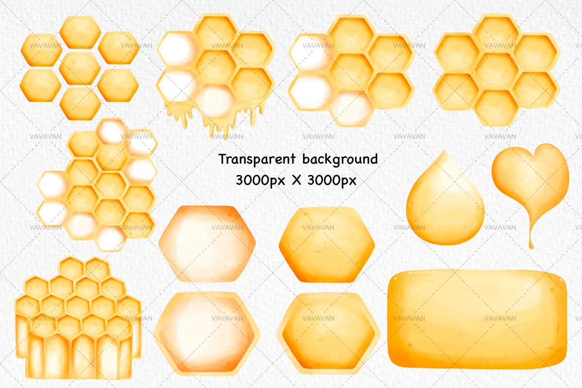 Honey Bee Clipart, an Animal Illustration by Vavavan Artwork (Photo 4 of 5)