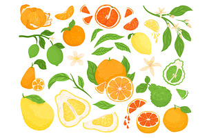 Citrus Fruits, Lemon, Orange