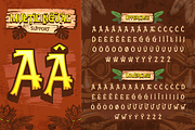 Calathea - Fun Hawaiian Font, a Symbol Font by Artisan Themes (Thumbnail 9 of 10)